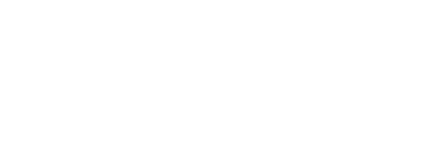 Vivadic